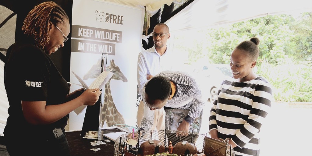 BornFreeKenya's tweet photo. We are participating in the 1st joint international scientific conference at @museumsofkenya this week under the theme "Utilization of biological resources for sustainable development, nature conservation and climate resilience. 🦁🦒🐘
Visit our booth to learn more! https://t.co/W22oTKQ20l