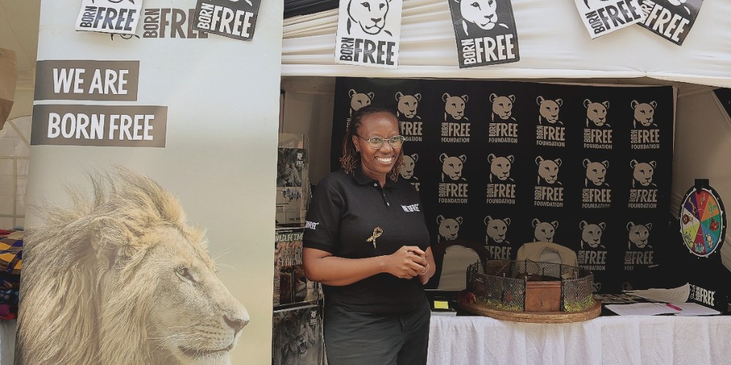 BornFreeKenya's tweet photo. We are participating in the 1st joint international scientific conference at @museumsofkenya this week under the theme "Utilization of biological resources for sustainable development, nature conservation and climate resilience. 🦁🦒🐘
Visit our booth to learn more! https://t.co/W22oTKQ20l