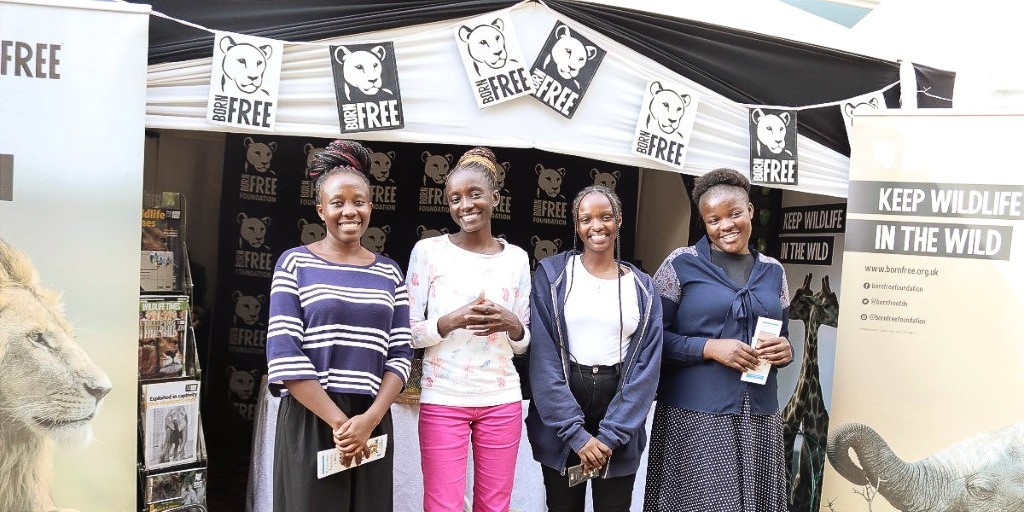 Born Free Foundation Kenya (@bornfreekenya) on Twitter photo We are participating in the 1st joint international scientific conference at <a href="/museumsofkenya/">National Museums of Kenya</a> this week under the theme "Utilization of biological resources for sustainable development, nature conservation and climate resilience. 🦁🦒🐘
Visit our booth to learn more! We are participating in the 1st joint international scientific conference at <a href="/museumsofkenya/">National Museums of Kenya</a> this week under the theme "Utilization of biological resources for sustainable development, nature conservation and climate resilience. 🦁🦒🐘
Visit our booth to learn more!