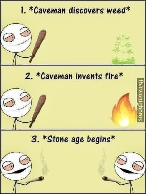 🪴🔥☺️