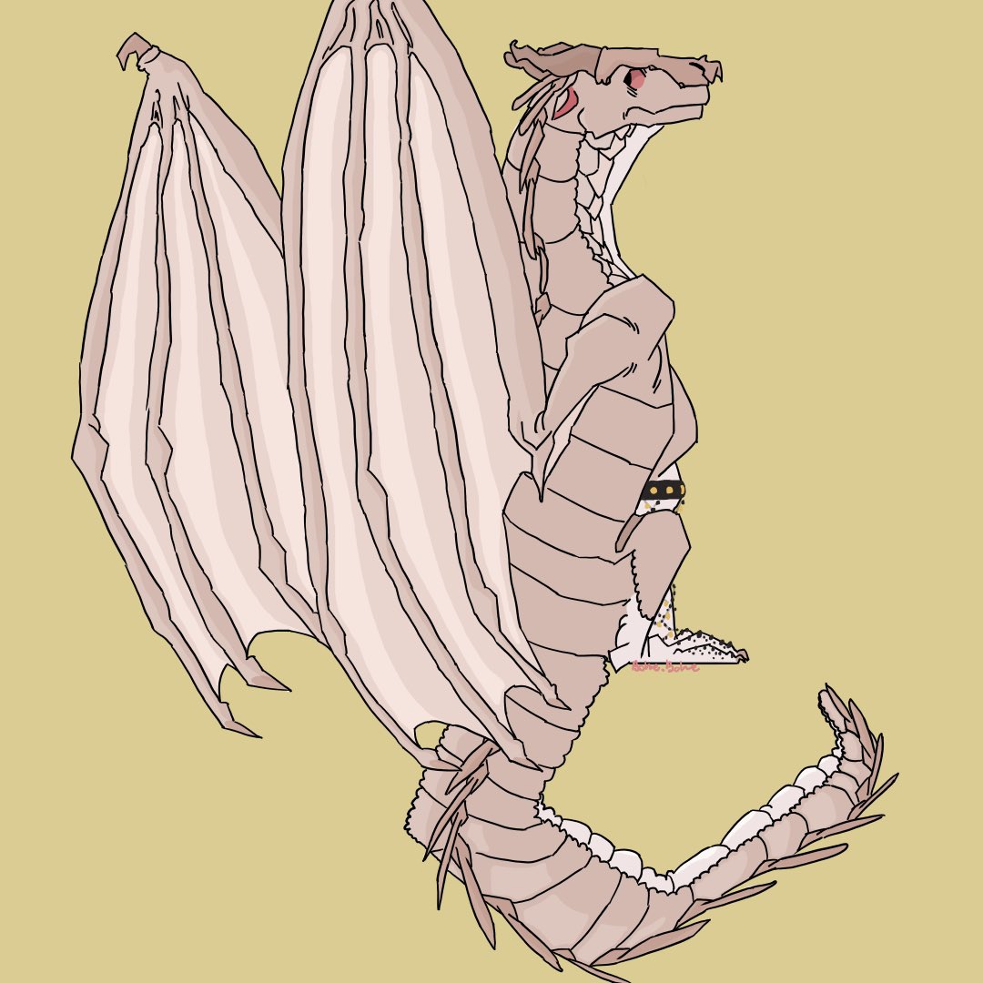 homiesexuallaj's tweet photo. Queen Egret the Mudwing from Wings of Fire! She’s one of Queen Anhinga’s hatchlings. I based Egret of a great egret, hence the stylized albinism 
—
#wingsoffire #wof #queenegret #egret #greategret #mudwing #mudwings #dragon #dragons #browndragon #brown #art #artistsontwitter https://t.co/ALPOWV4QKB