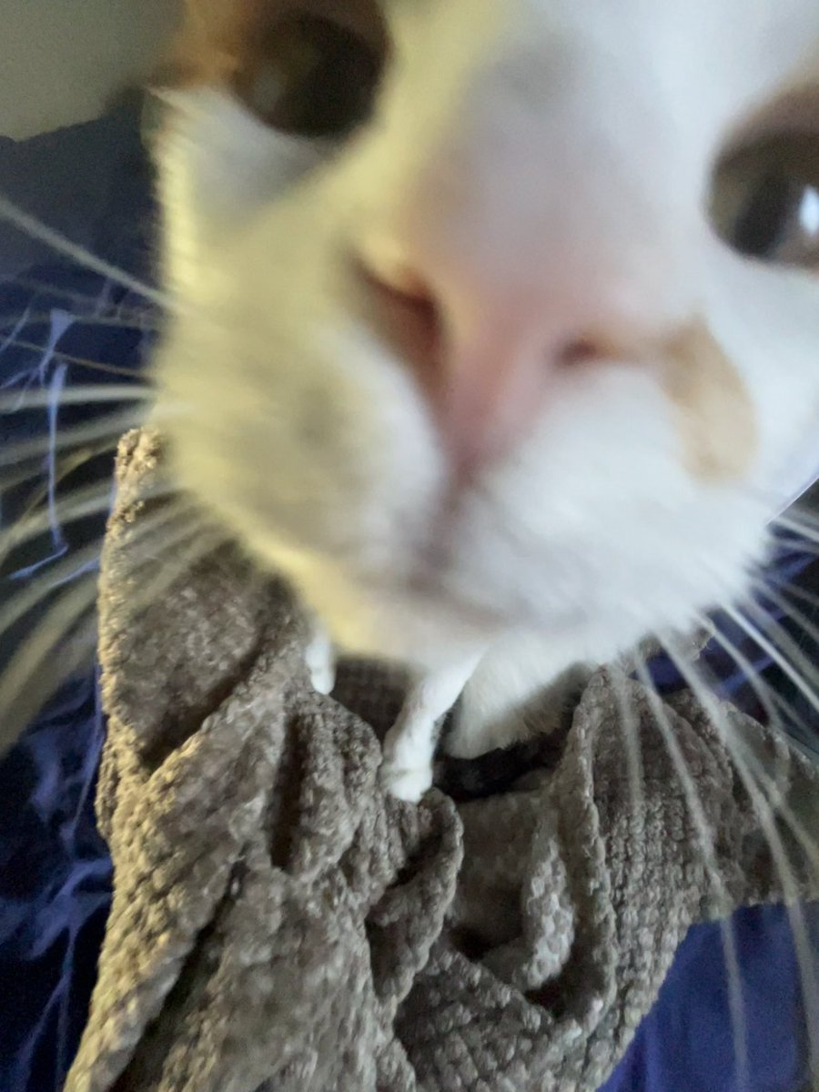 lyncmorg's tweet photo. This is what u see before you ascend the astral plane https://t.co/bb1WXlOluj