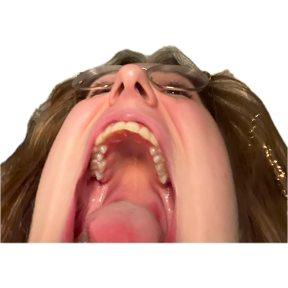 William Henry Harrison tweet media