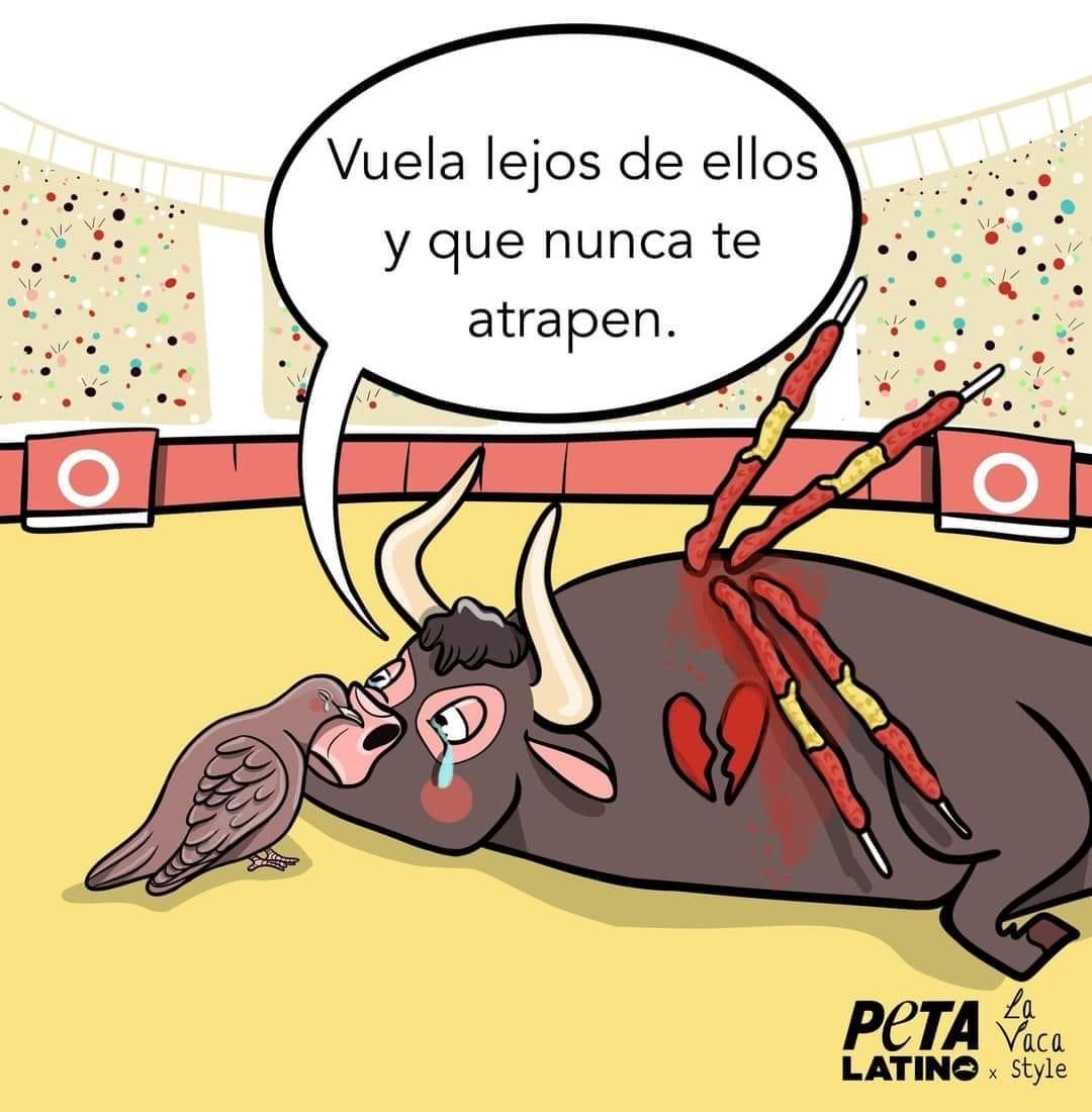 Mayú Guillén 🇲🇽🇺🇦 tweet media