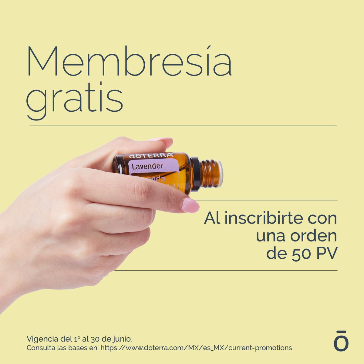 doTERRAMXof's tweet image. ¡Llegamos a Junio! Celebra esta mitad del año disfrutando de las increíbles promociones que doTERRA tiene para ti 😍

Da click en este enlace y conoce más 👇🏼
doterra.com/MX/es_MX/curre…