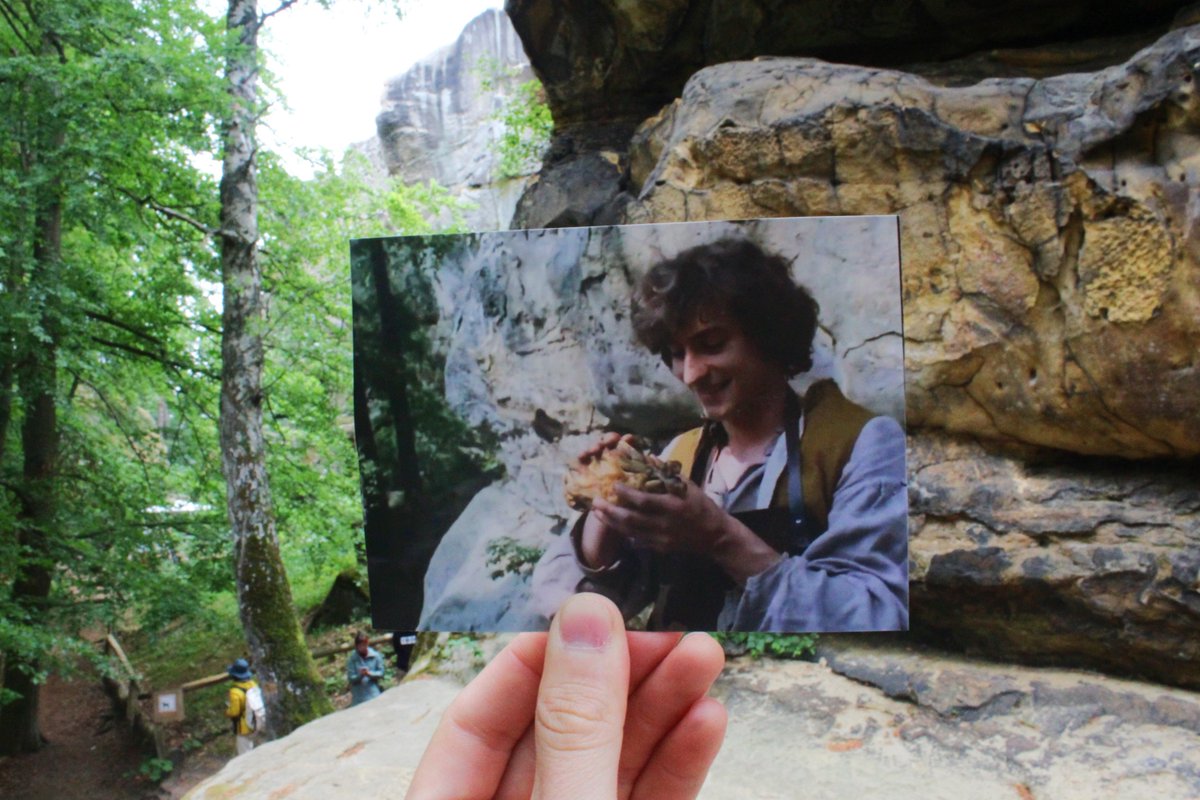 Filmové políčko tweet media