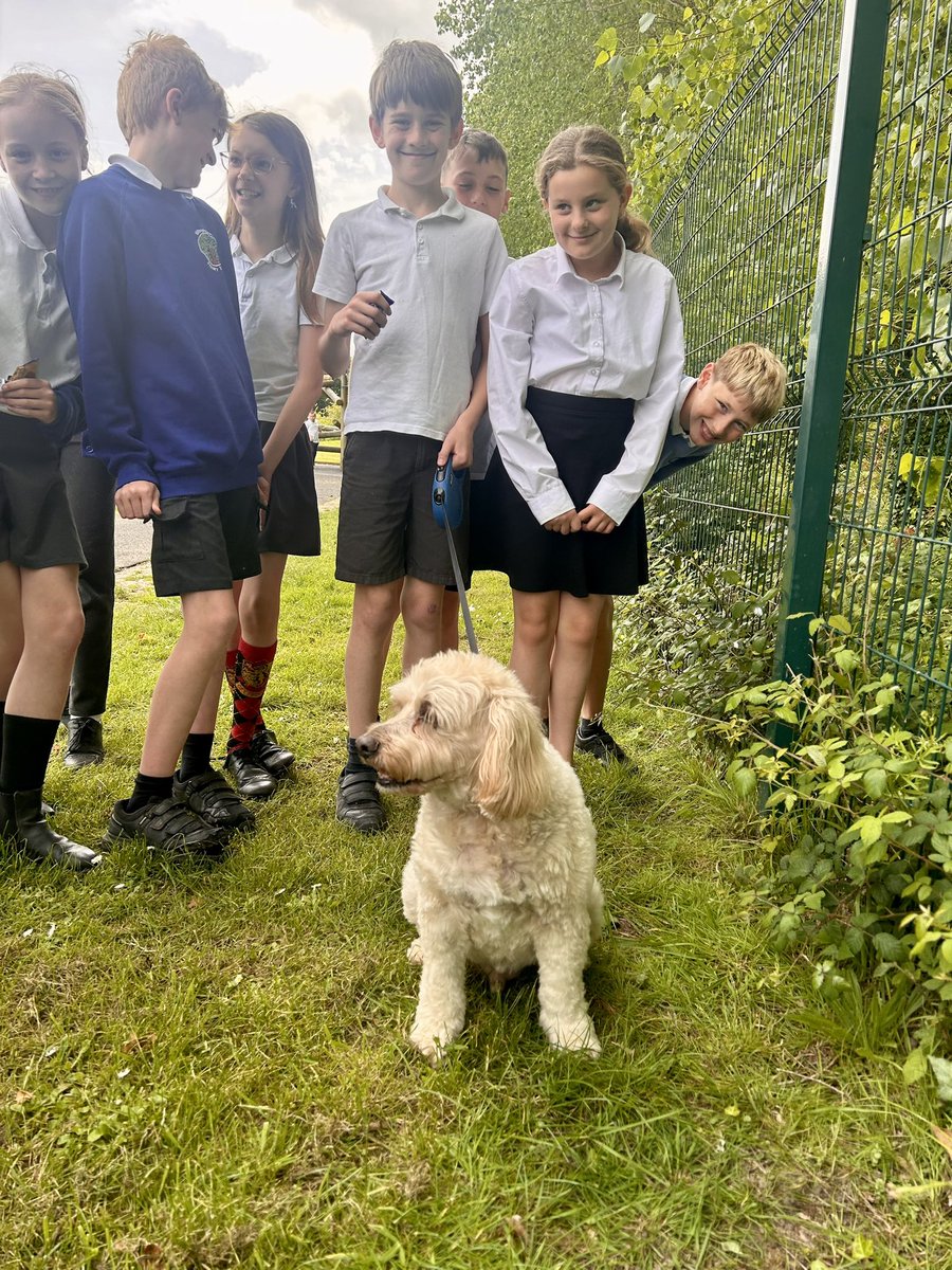 BPSYearSix tweet media