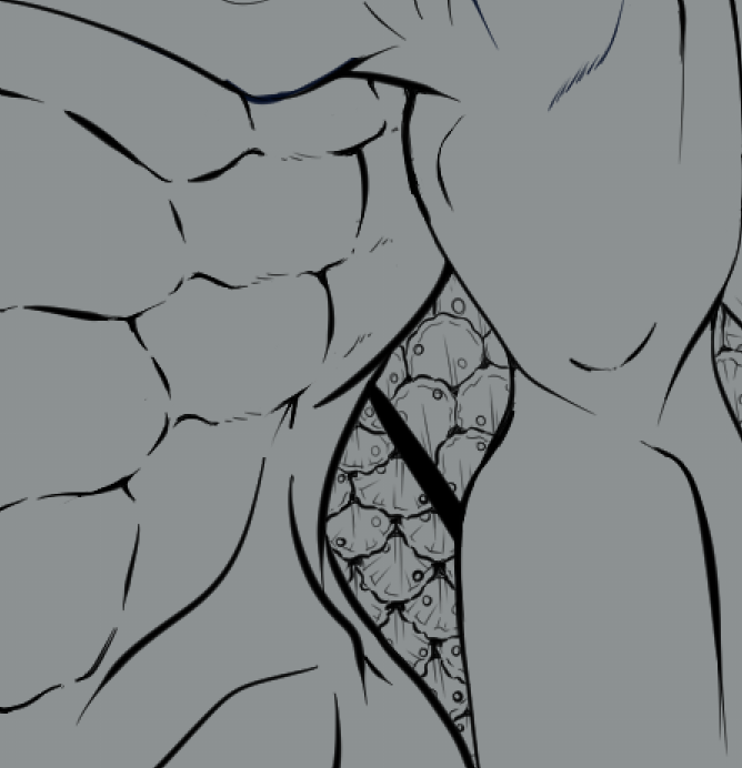 I am now able to share this WIP I am working on for myself. The Community has reached so many goals and they are trying to get to another one before I finish this one. Enjoy your sneak peek of an upcoming PNG~
#AzureMysticalArtz #MysticalBeings