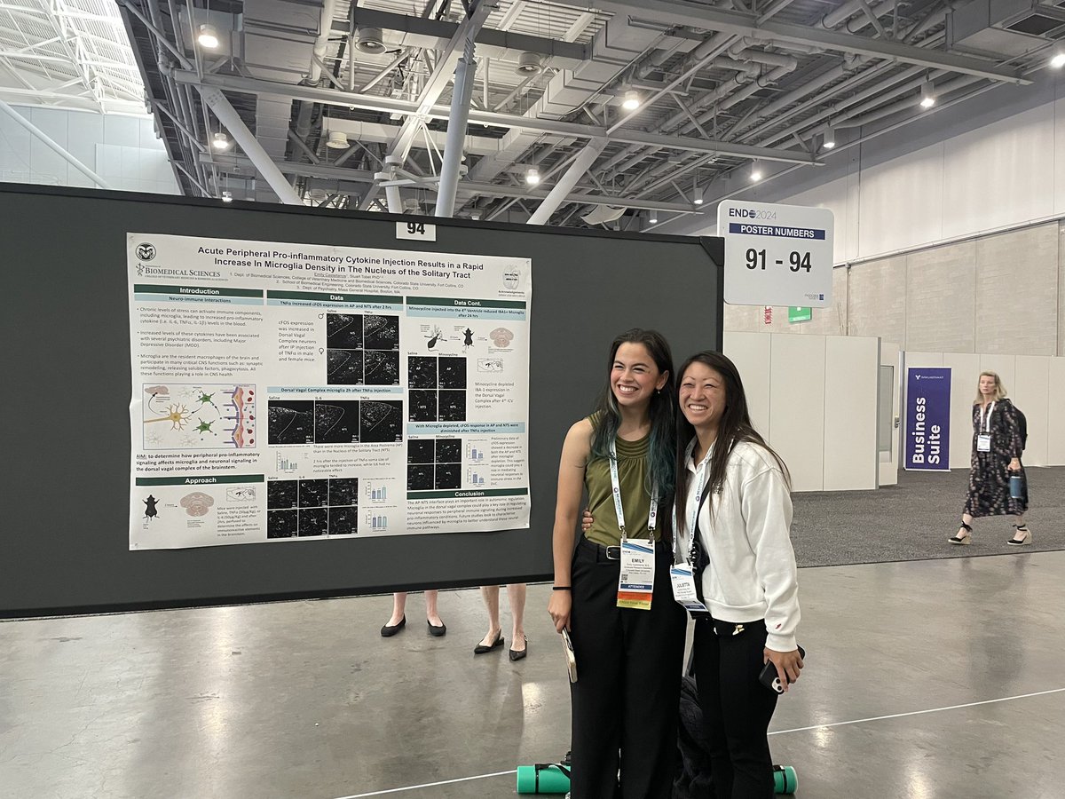 Julietta Sheng, PhD (@juliettasheng) on Twitter photo Really interesting research by my colleague, <a href="/Emscastell/">Emily Castellanos</a>, on microglia in the brainstem! Come learn more at her poster (094) today at
#ENDO2024. <a href="/ICON__X/">ICON-✘</a> #StuTobet <a href="/ColoradoStateU/">Colorado State University</a> <a href="/TheEndoSociety/">Endocrine Society</a> Really interesting research by my colleague, <a href="/Emscastell/">Emily Castellanos</a>, on microglia in the brainstem! Come learn more at her poster (094) today at
#ENDO2024. <a href="/ICON__X/">ICON-✘</a> #StuTobet <a href="/ColoradoStateU/">Colorado State University</a> <a href="/TheEndoSociety/">Endocrine Society</a>