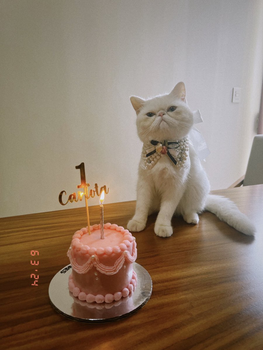 almitarq's tweet photo. Mi bb cumple años hoy🥳🥳 https://t.co/Ks8rjrBTj2