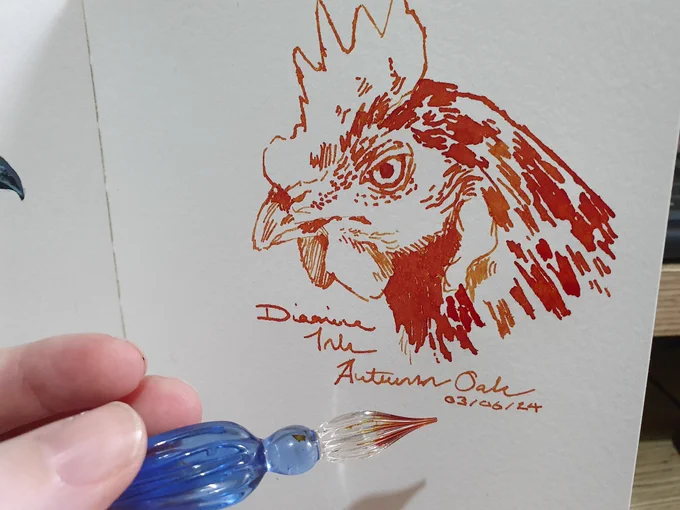 Wow Diamine inks are nice! Have a chook 