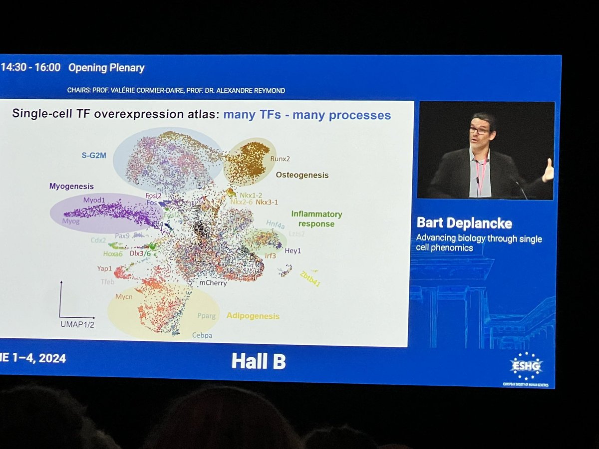 Pwiqar's tweet photo. The most interesting talks at this conference. Inspiring Science. Wonderful research. Clear and to the point take home message. 🌹🌹🌹🌹
#eshg2024
@eshgsociety 
@malte_spielmann 
@ksamocha 
@BartDeplancke 
@NadavAhituv https://t.co/gAr3zRjyE6