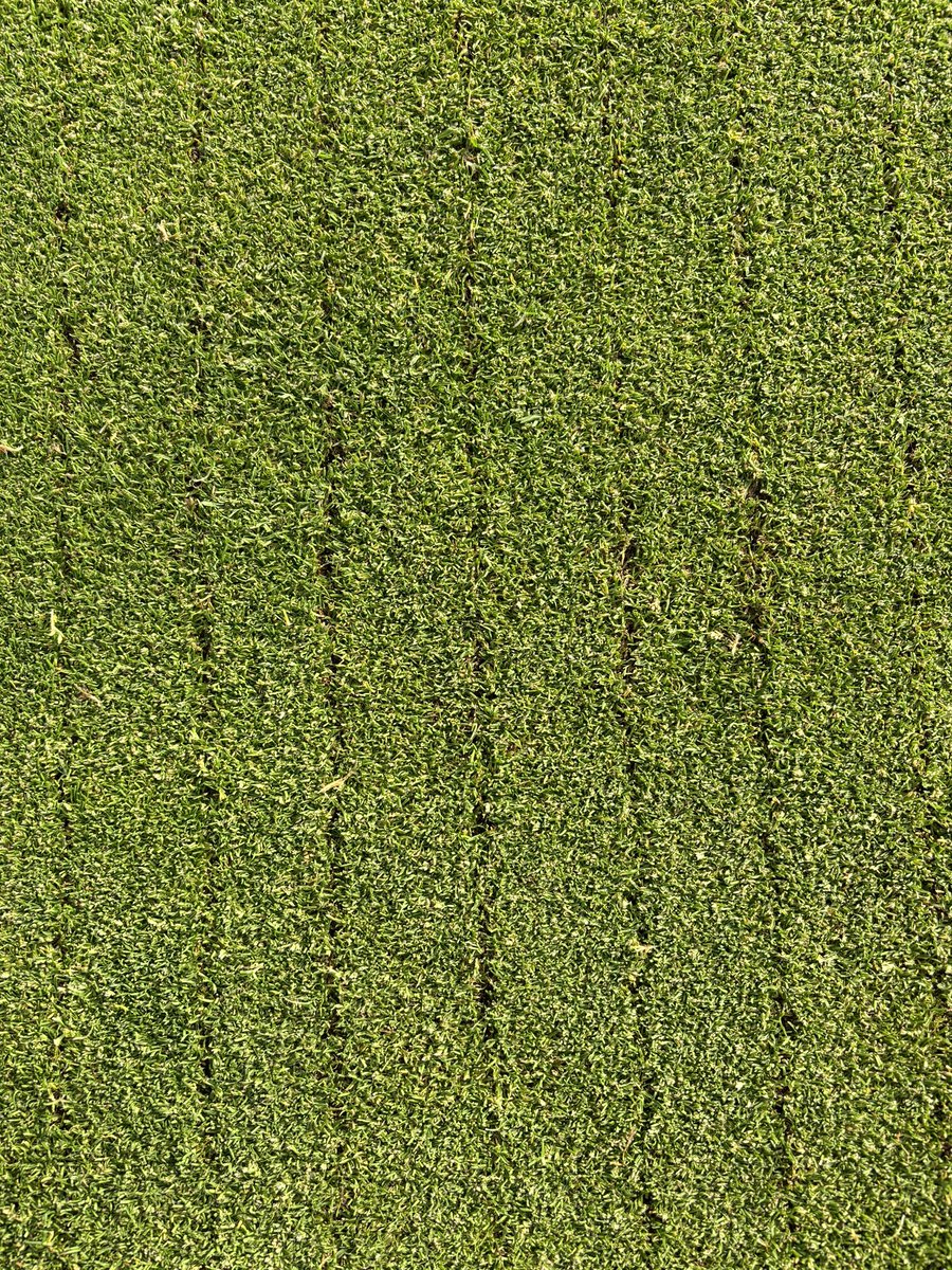 HarryThompa04's tweet photo. Late nights and early mornings scarifying. 15mm down and leaving very little disruption to the surface @GKBmachines https://t.co/5PZ3VZaXBV