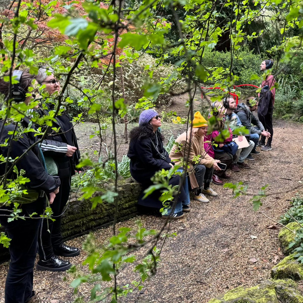 School of Wild Listening tweet media