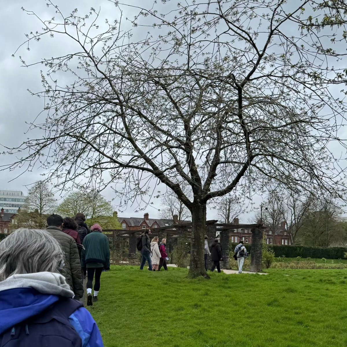 School of Wild Listening tweet media