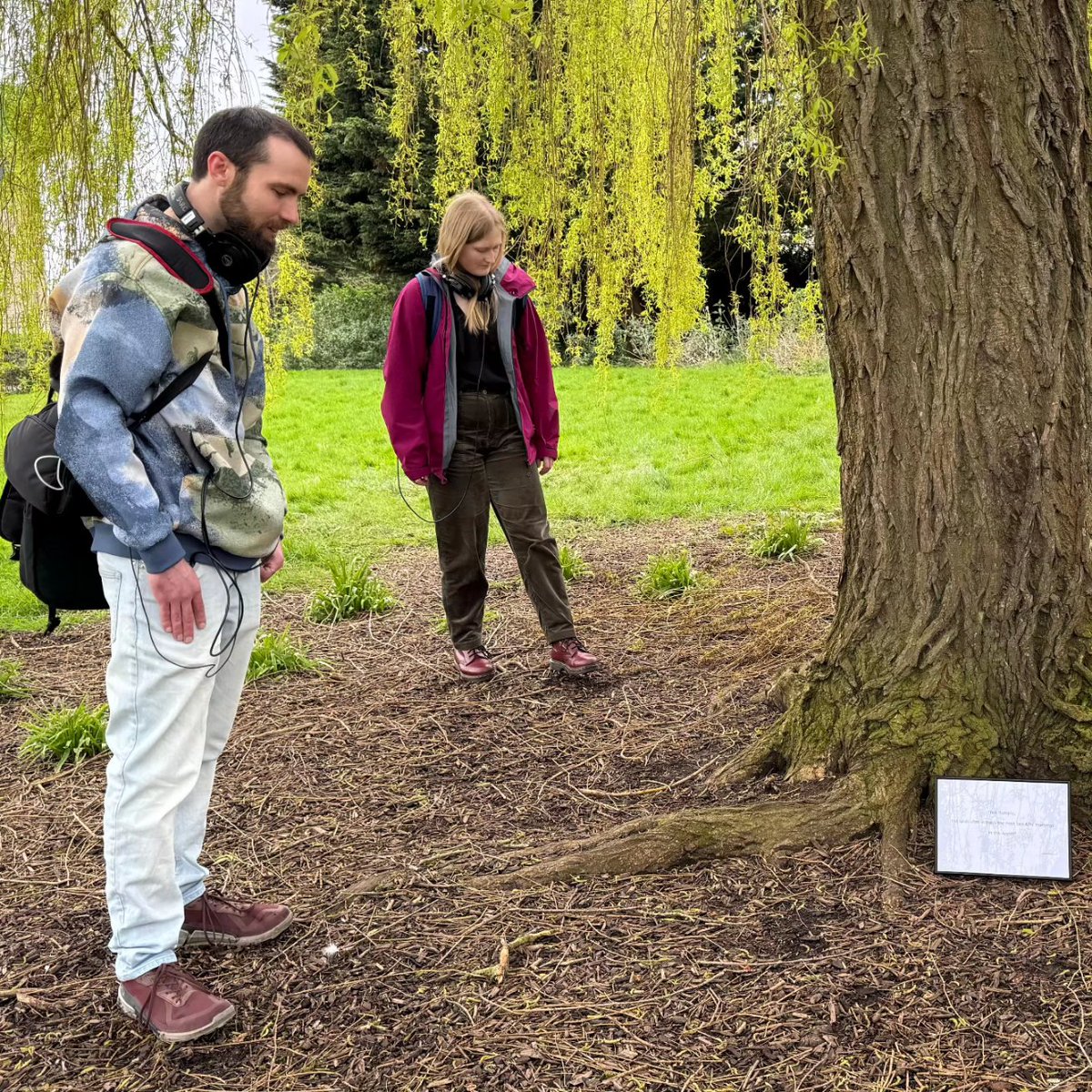 School of Wild Listening tweet media