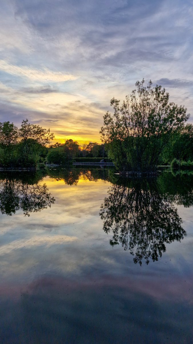 hodderd's tweet photo. S U N S E T

Golden hues and tranquil reflections as the sun surrenders to the horizon, igniting the sky in shades of orange over Filham Park Lake. 

#Devon #VisitSouthDevon #VisitDevon #LoveDevon #ExploreDevon #DevonLife #SouthWestEngland #Ivybridge #Reflection #Sunset https://t.co/DDC1BUnLhG