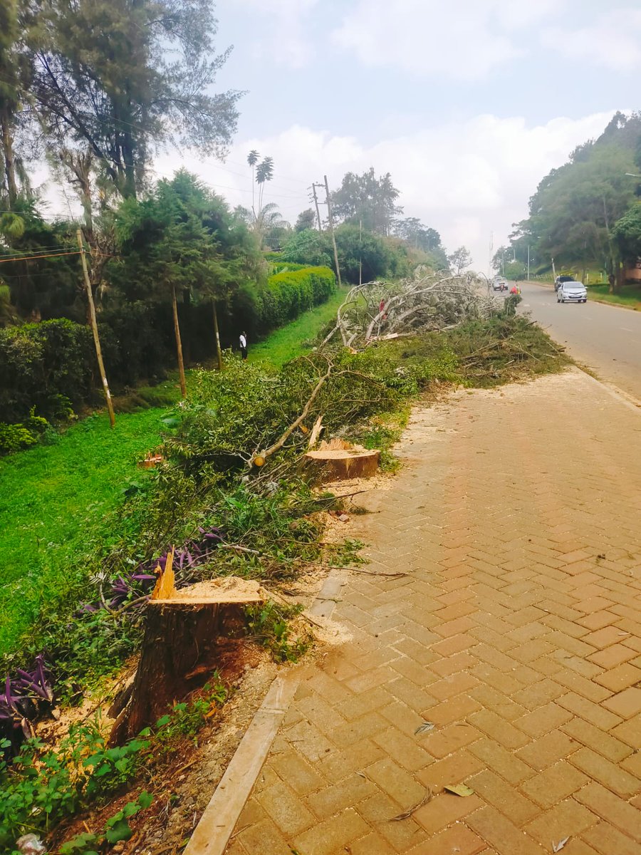 Geoffrey Luseno tweet media