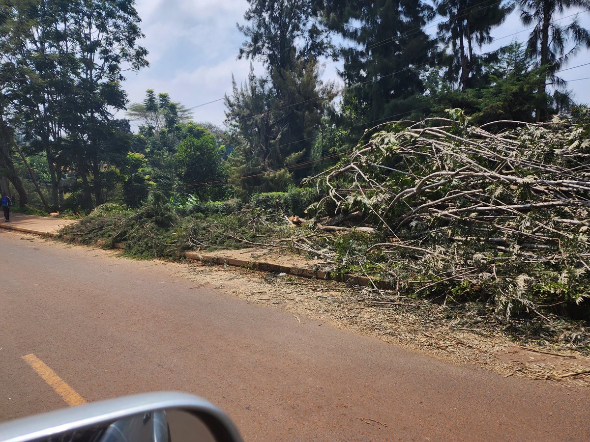 Geoffrey Luseno tweet media