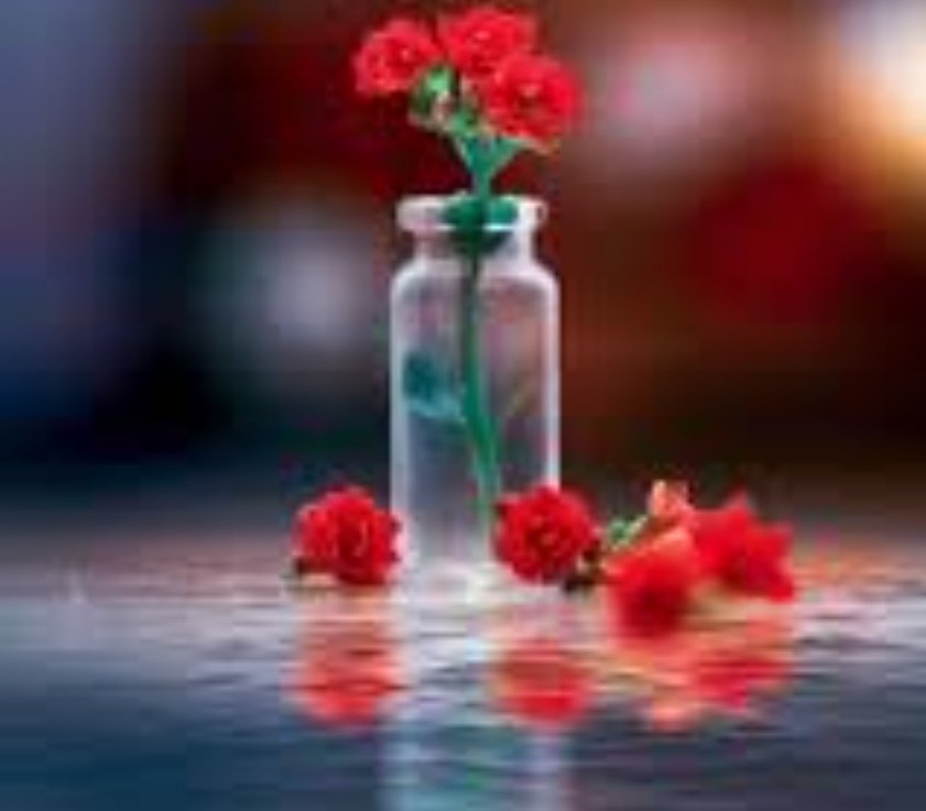 ‏ ‏ ‏ڛۣــحۡــٰٱ̍بــہ ̨؏ــٰٱ̍بــڔه tweet media