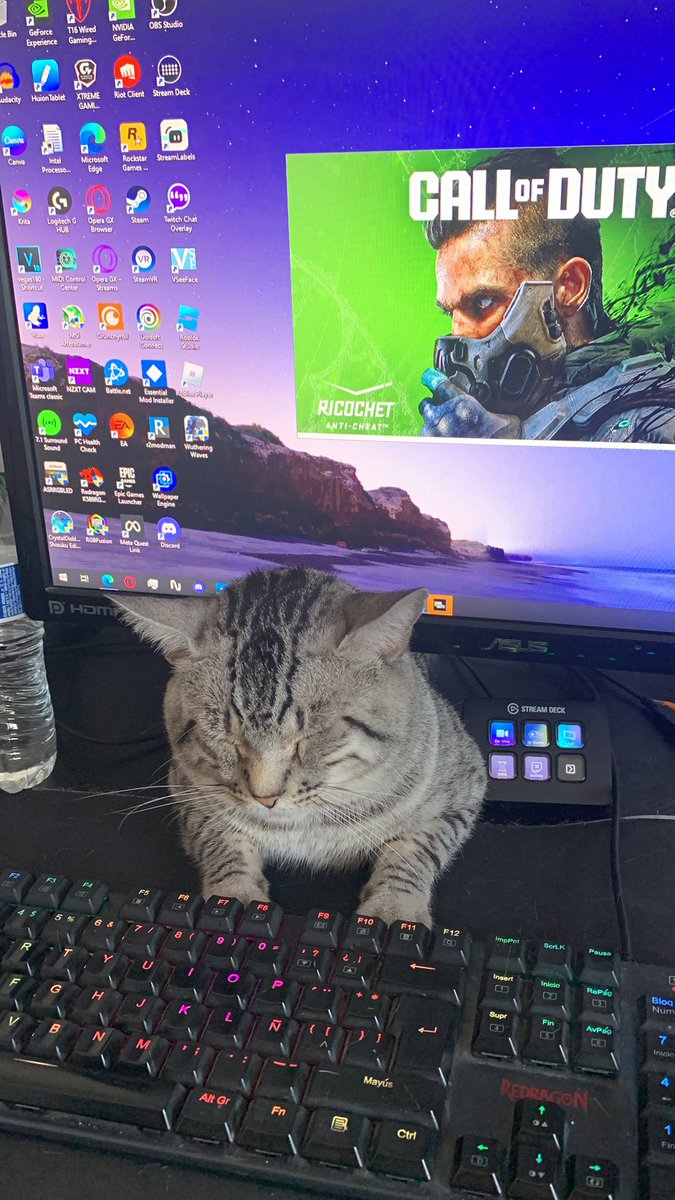 GerlanRht's tweet photo. Gato gamer https://t.co/ex6L1m2z7H