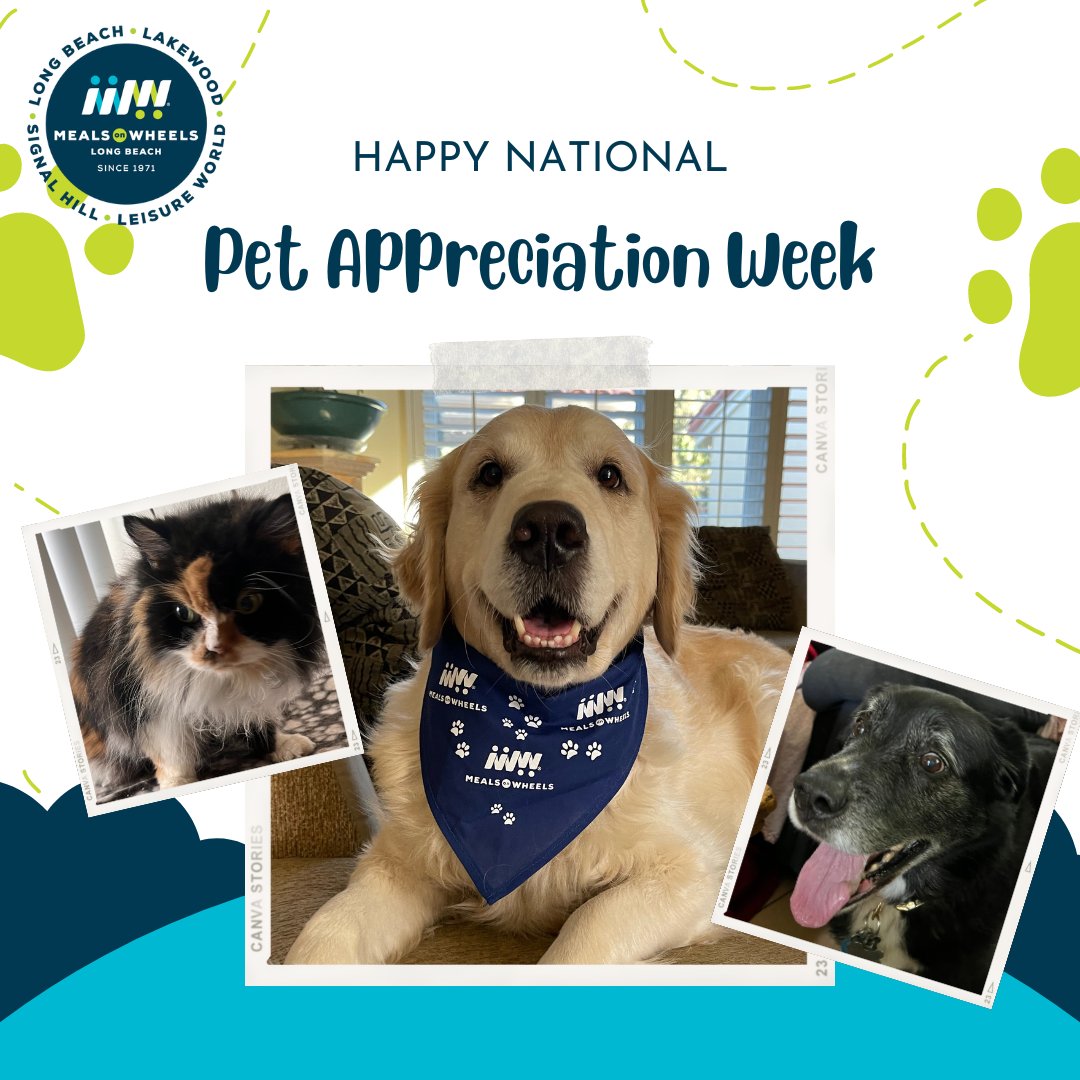 It’s Pet Appreciation Week! 
Pets have an incredible impact on the wellness of our homebound neighbors. Meals on Wheels of Long Beach helps keep them happy, safe and healthy together. You can help too!

Visit mowlb.org to donate today.
#petappreciationweek
