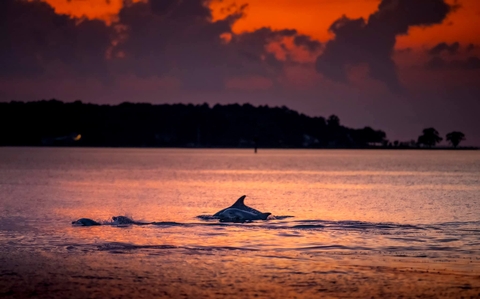 Chesapeake Biological Lab in Solomons, Md is looking to hire a new director! CBL is the oldest publicly supported marine laboratory on the East Coast and a national leader in fisheries, estuarine ecology, environmental chemistry &amp; toxicology! Apply today! umces.peopleadmin.com/postings/1875