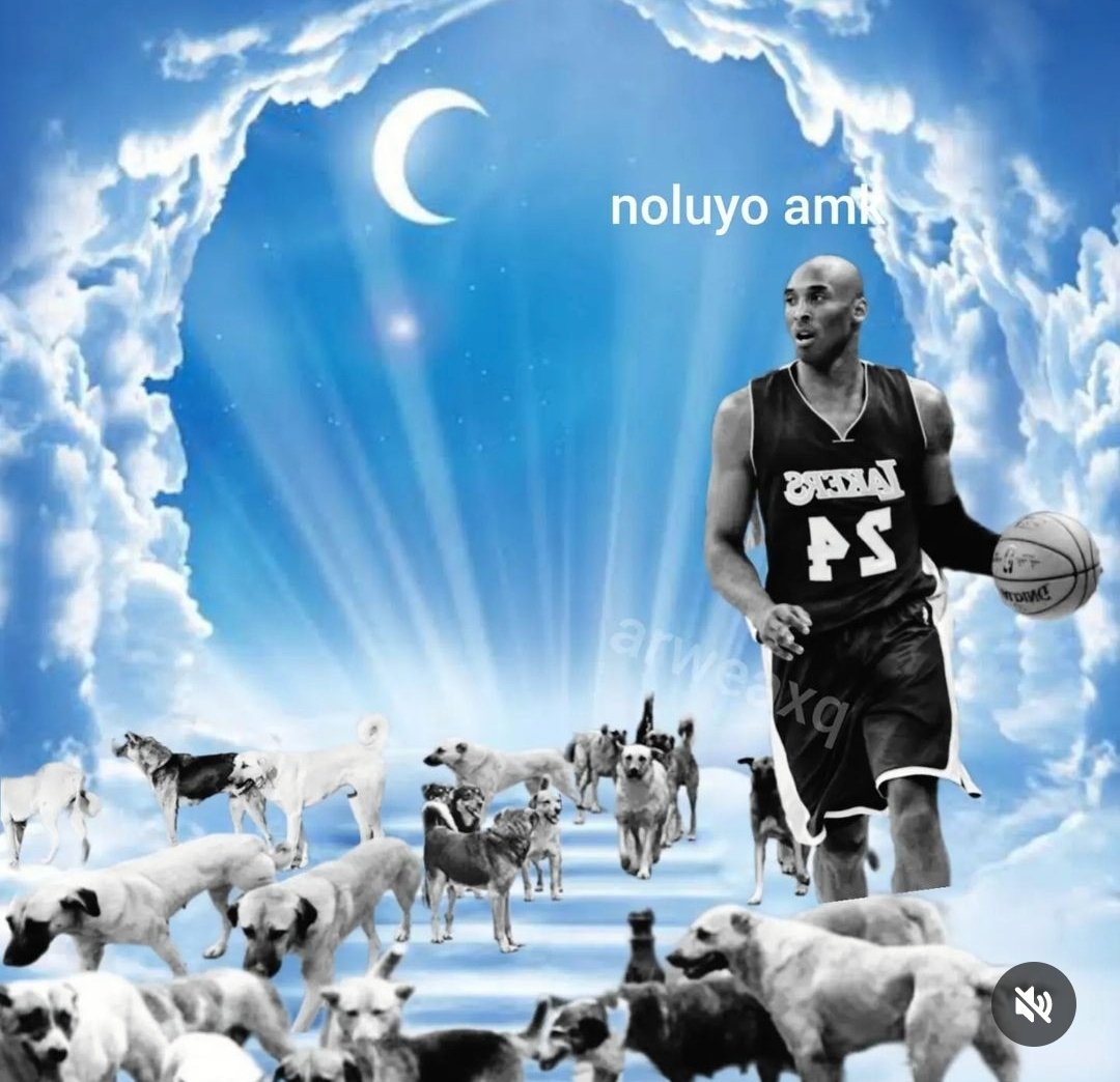 redditboi (@redditboi) on Twitter photo 