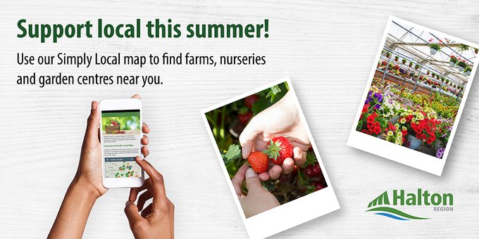HaltonBusiness's tweet image. June 3-9 is #LocalFoodWeek! Let's celebrate by shopping locally at our grocery stores, farmer's markets &amp;amp; restaurants. Use the #Simplylocal map to find where to purchase local foods &amp;amp; pick-your-own produce. Local foods make great gifts too! ow.ly/FBeC50S7hgH