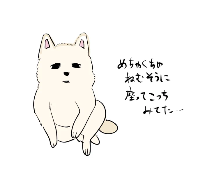 犬さっき 