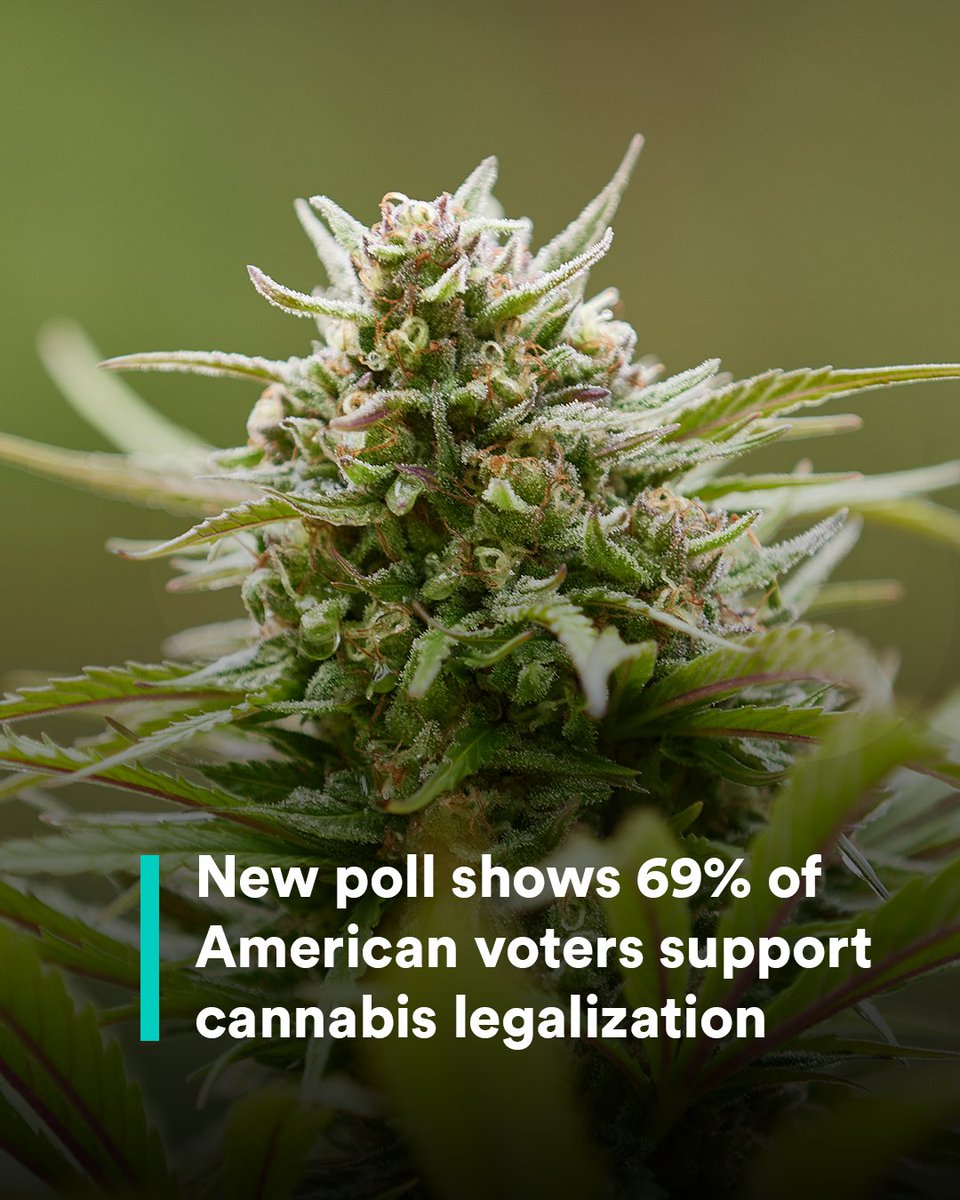 weedmaps's tweet photo. Nice 😏

69% of American voters support legalizing recreational cannabis, according to a new Fox News poll. Learn more: https://t.co/oneh7tmS0h https://t.co/tjoLK5PnGa