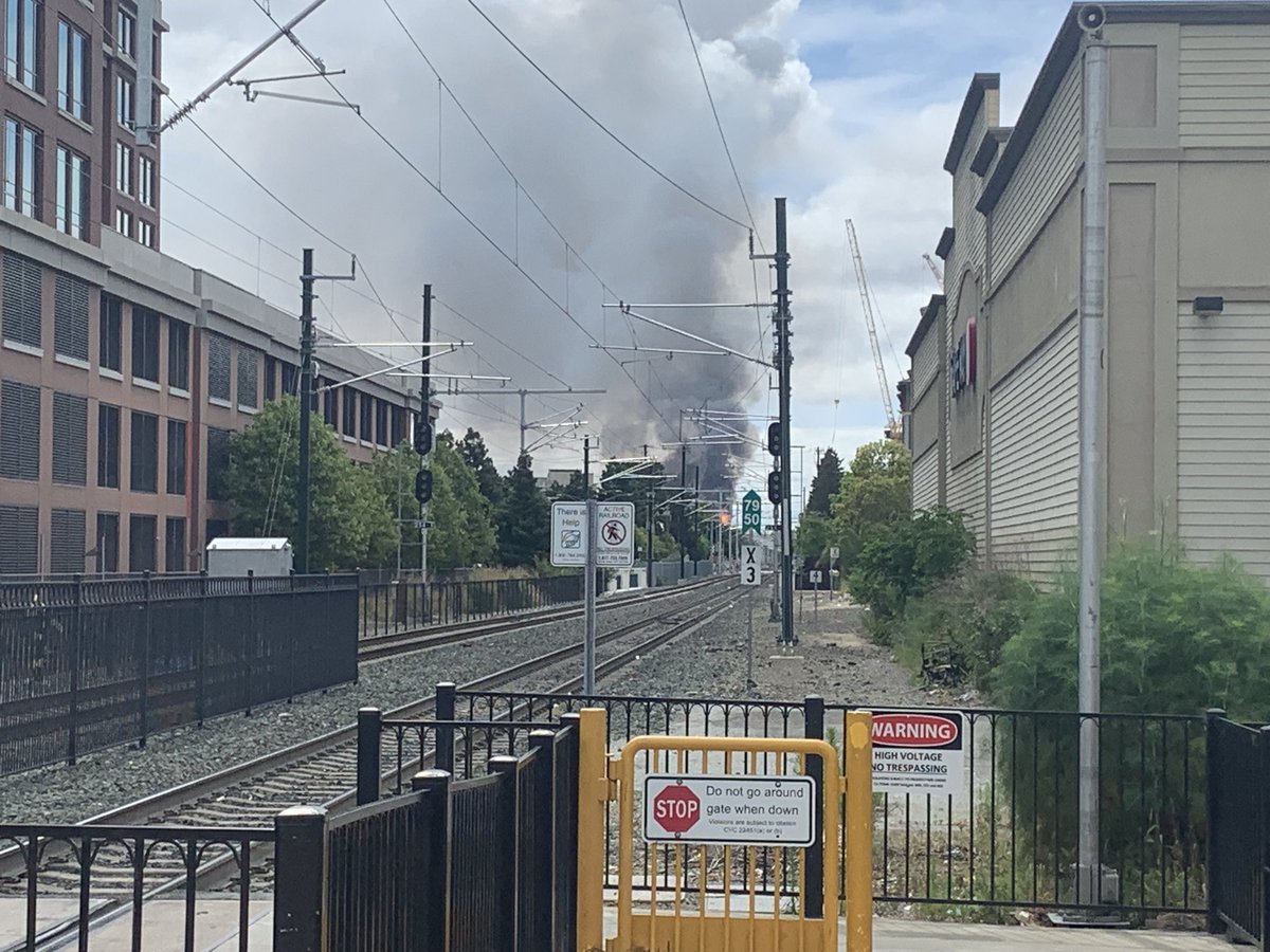 Nonideologue Inc. tweet media