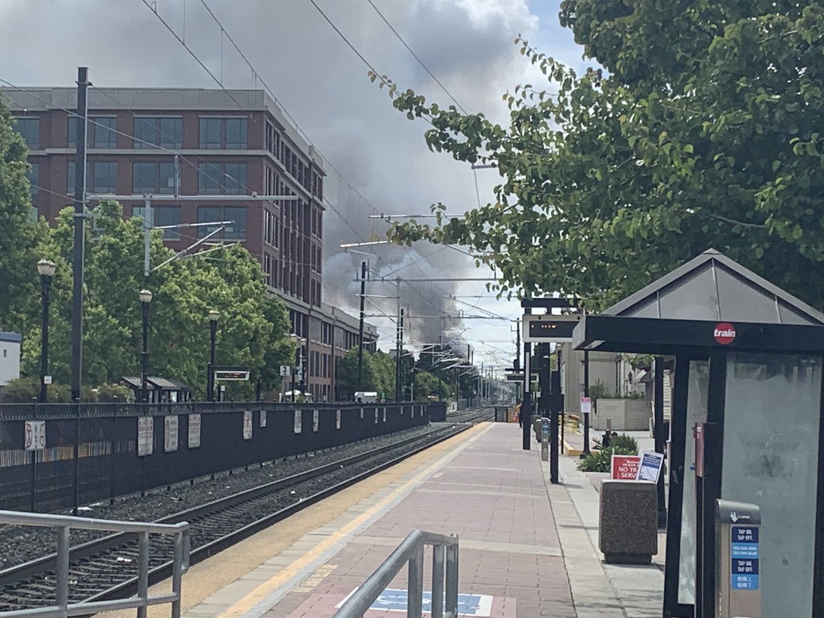 Nonideologue Inc. tweet media