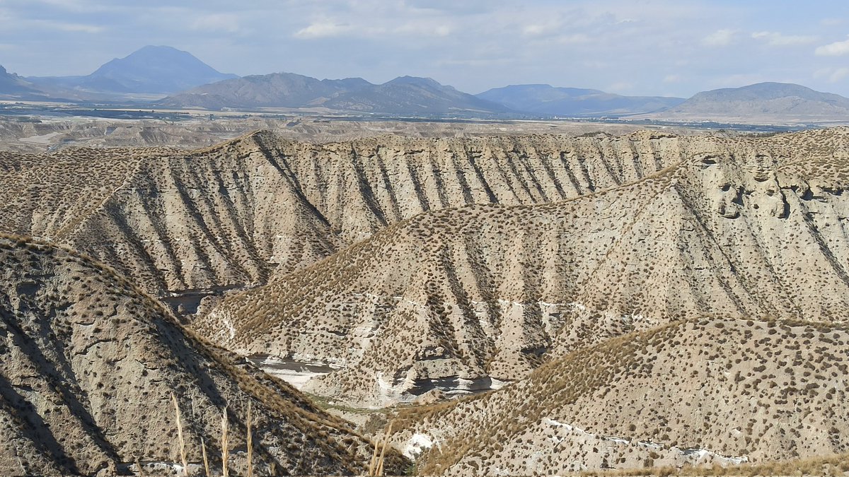 Matias Reolid tweet media