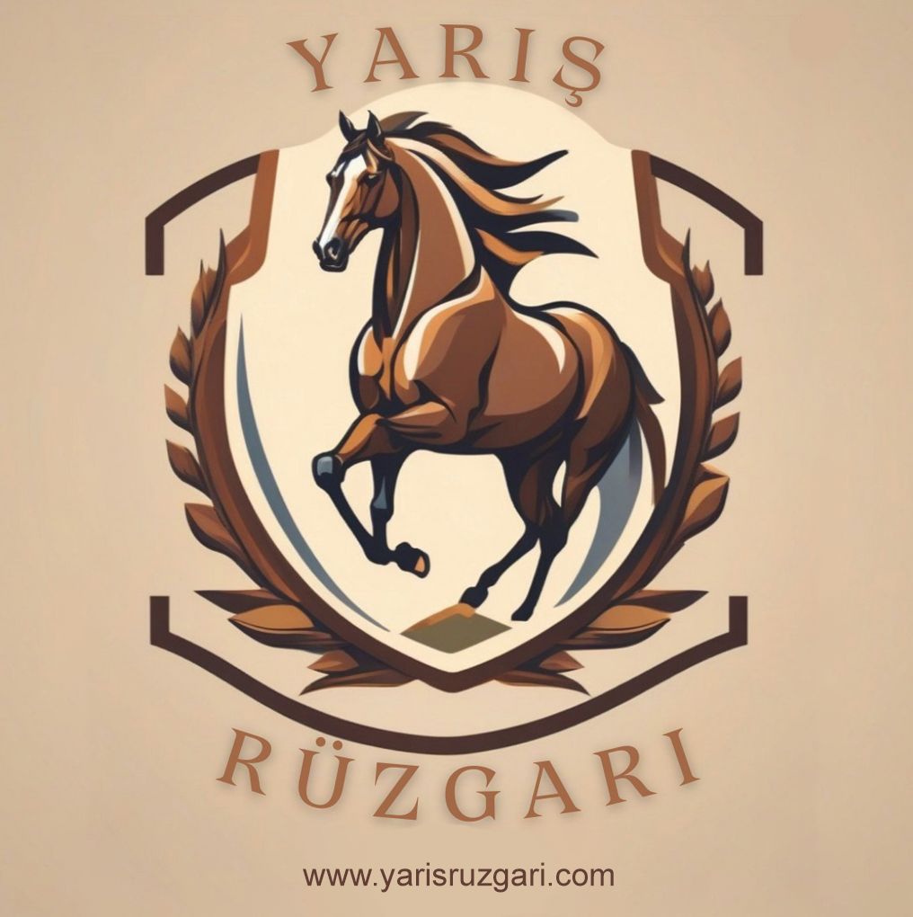 yarisruzgari.com