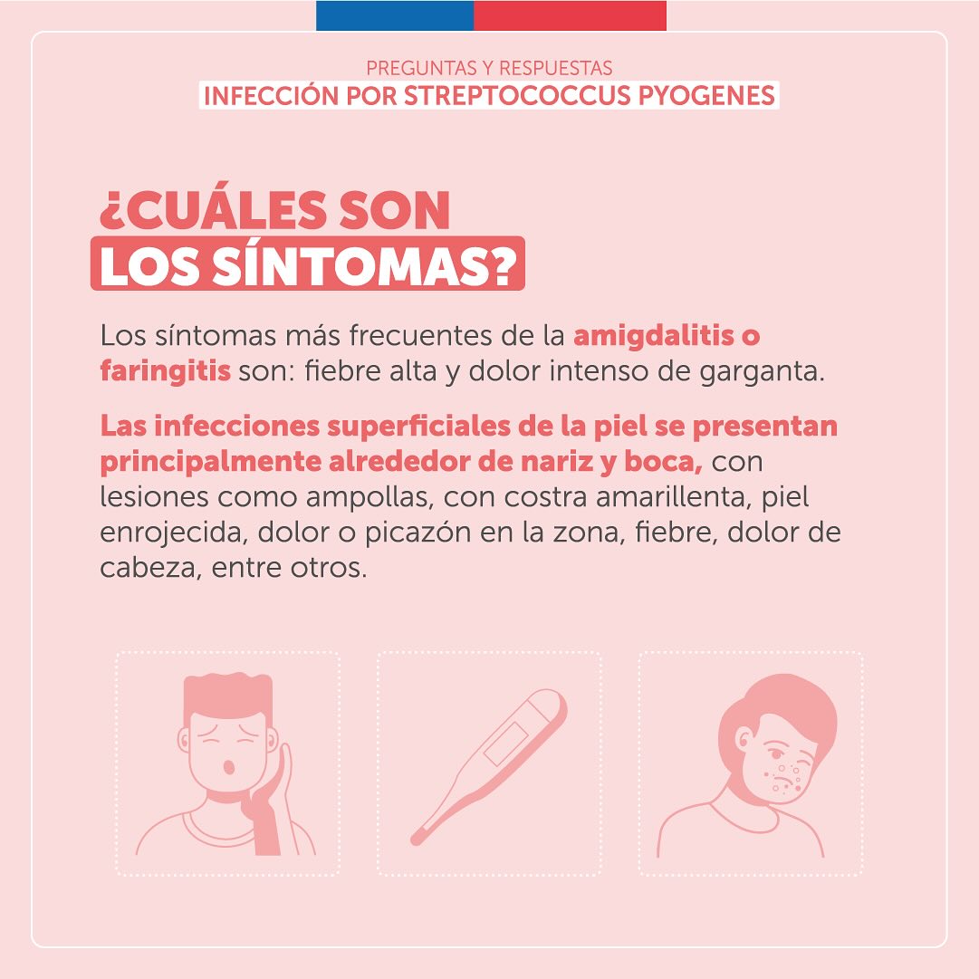 seremisalud10's tweet photo. 🔵 Revisa las preguntas y respuestas respecto a la infección por la bacteria Streptococcus Pyogenes.
#StreptococcusPyogenes https://t.co/t3OYn55rl5