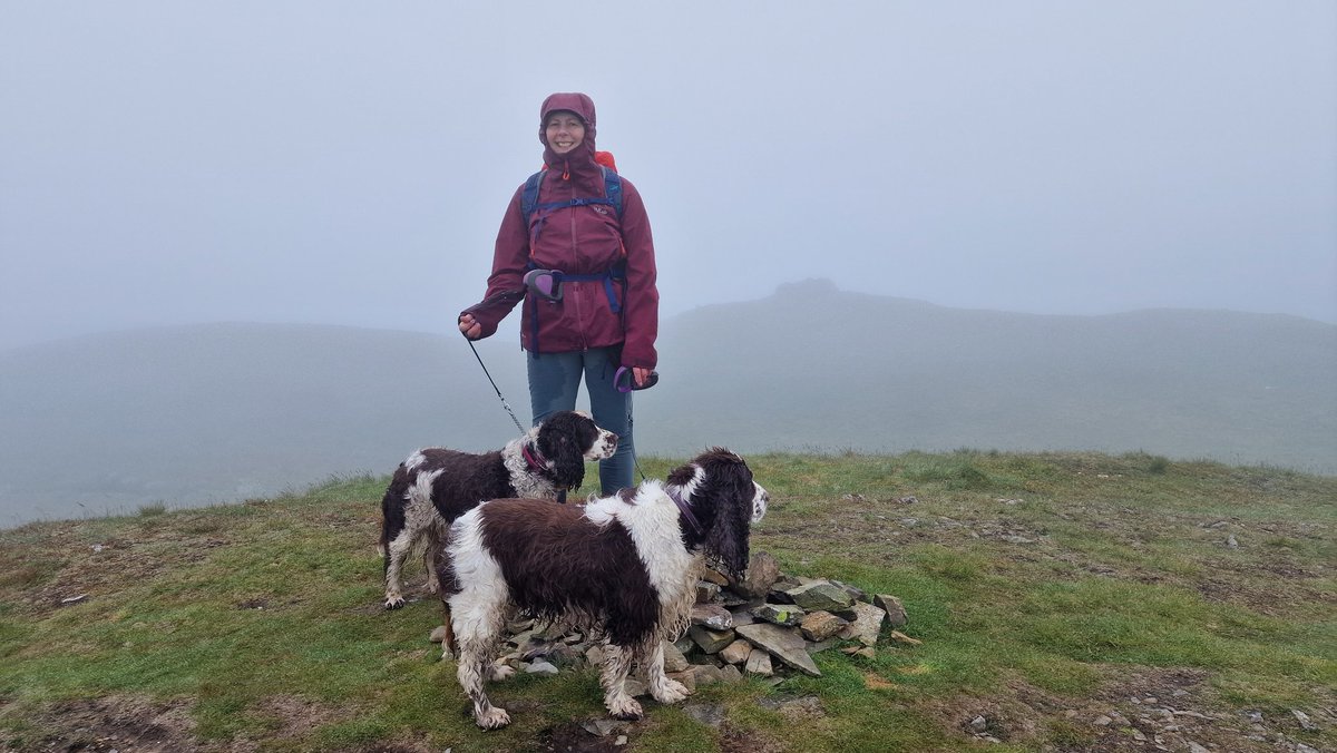 Skyestrolls's tweet photo. 6 more Wainwright's completed. Now ascended higher than Everest. Grim weather, no visibility https://t.co/uJt1W2ZWG7
