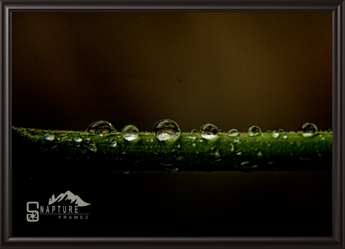viswaprem_ca's tweet photo. Water Droplets
#waterdrop #macro #nature #water #waterdrops #photography #drops #waterdroplets #macrophotography #naturephotography #waterdropphotography #drop #photooftheday #waterdropmoment #waterdropsmacro #rain #waterdropmacro #droplets #art #photo #waterdropart https://t.co/VR3NXcito4