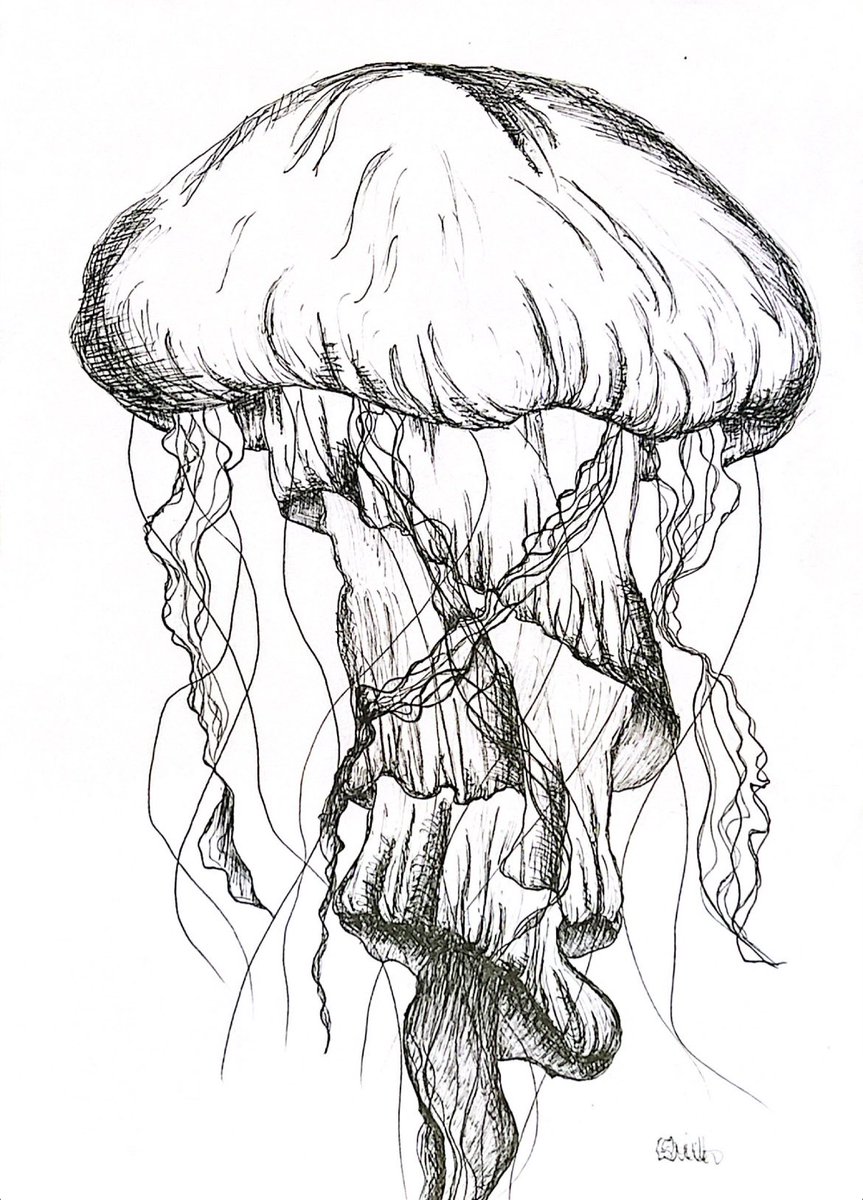 Button nose Illustration tweet media