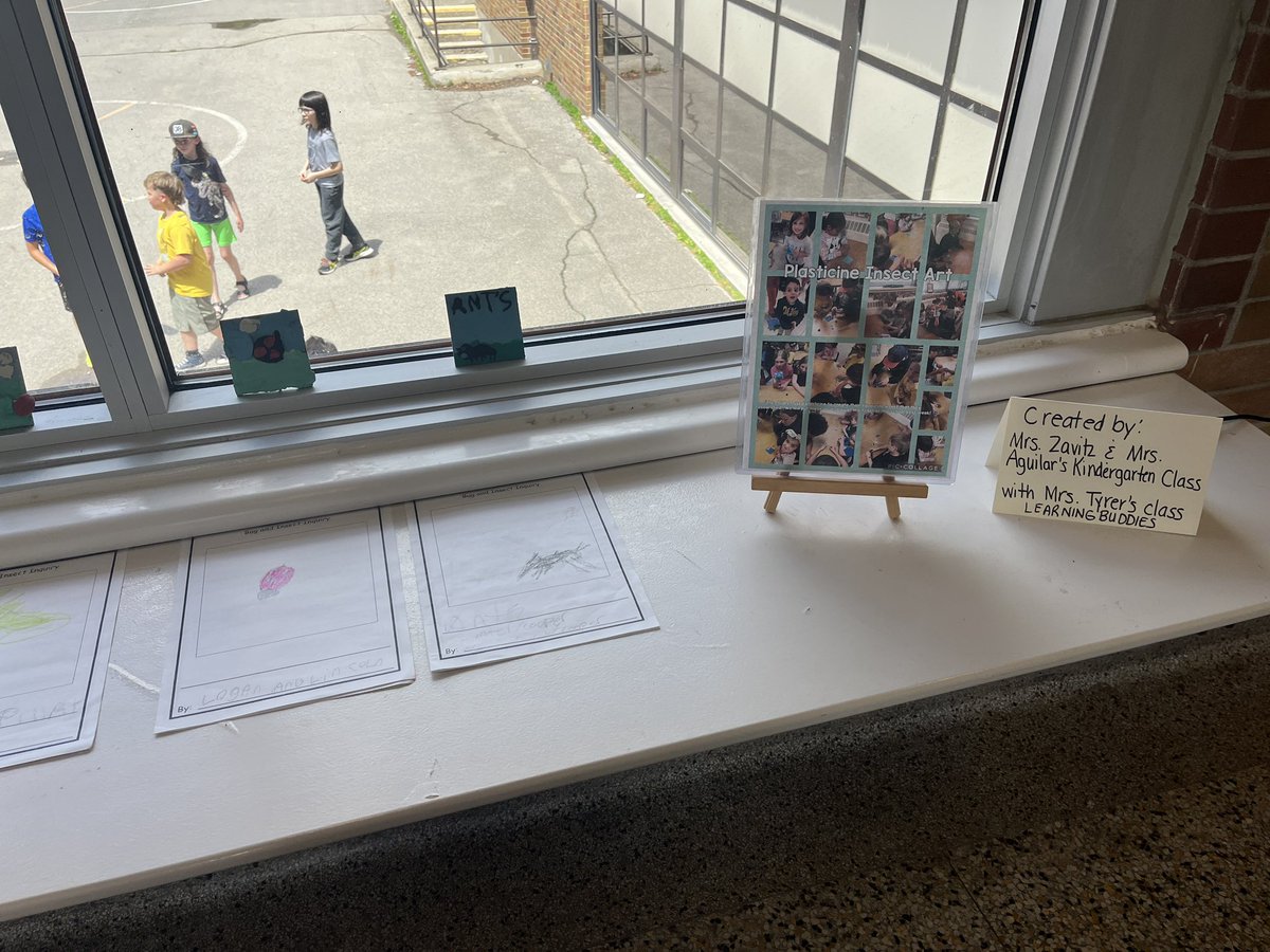 Check out our bug and insect inquiry booklets and models we made with our Grade 6 Learning Buddies.  Thanks <a href="/SabrinaTyrer/">Sabrina Tyrer</a> <a href="/mountsfieldps/">Mountsfield Public School</a> <a href="/TVDSB/">Thames Valley DSB</a> <a href="/TVDSBKinder/">TVDSBKindergarten</a>