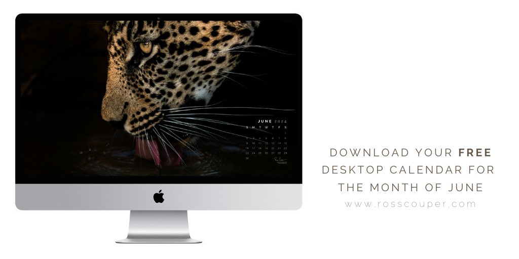June's Fierce Refresh
Download your free desktop calendar today for the month of June at rosscouper.com
#june #desktop #wallpaper