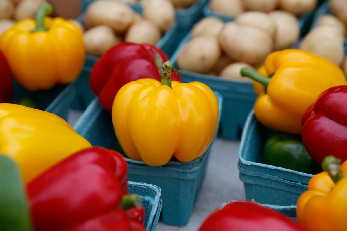 citymississauga's tweet photo. Support local by visiting one of Mississauga’s farmers markets. 

You'll help support growers and vendors and encourage urban agriculture initiatives. 

Learn more and find a farmers market: https://t.co/OHq3qVNR8G 

@saugaparksrec https://t.co/Yb7wrWe6Ch