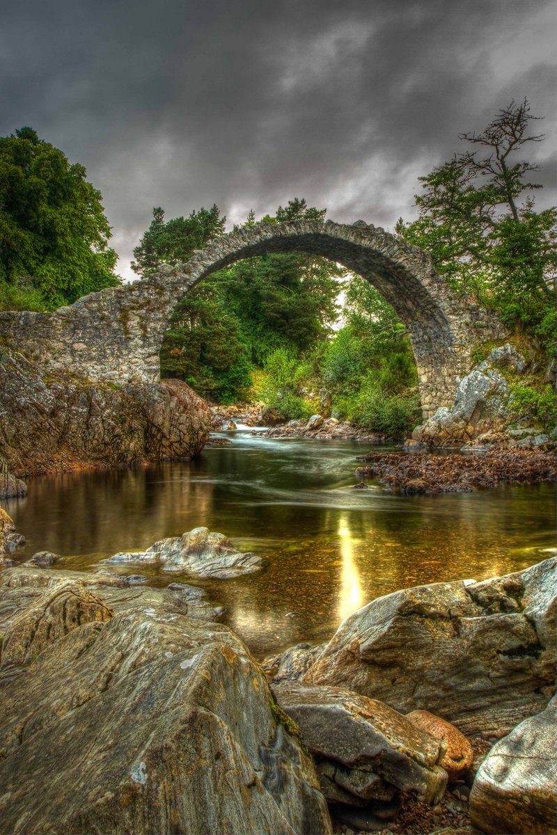 Tracy Hogan tweet media