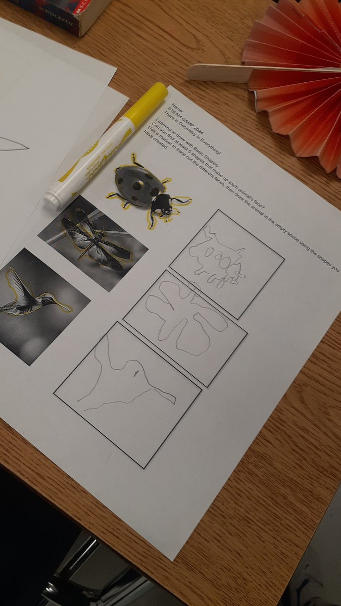 FabensWildcatsTSTEM tweet media