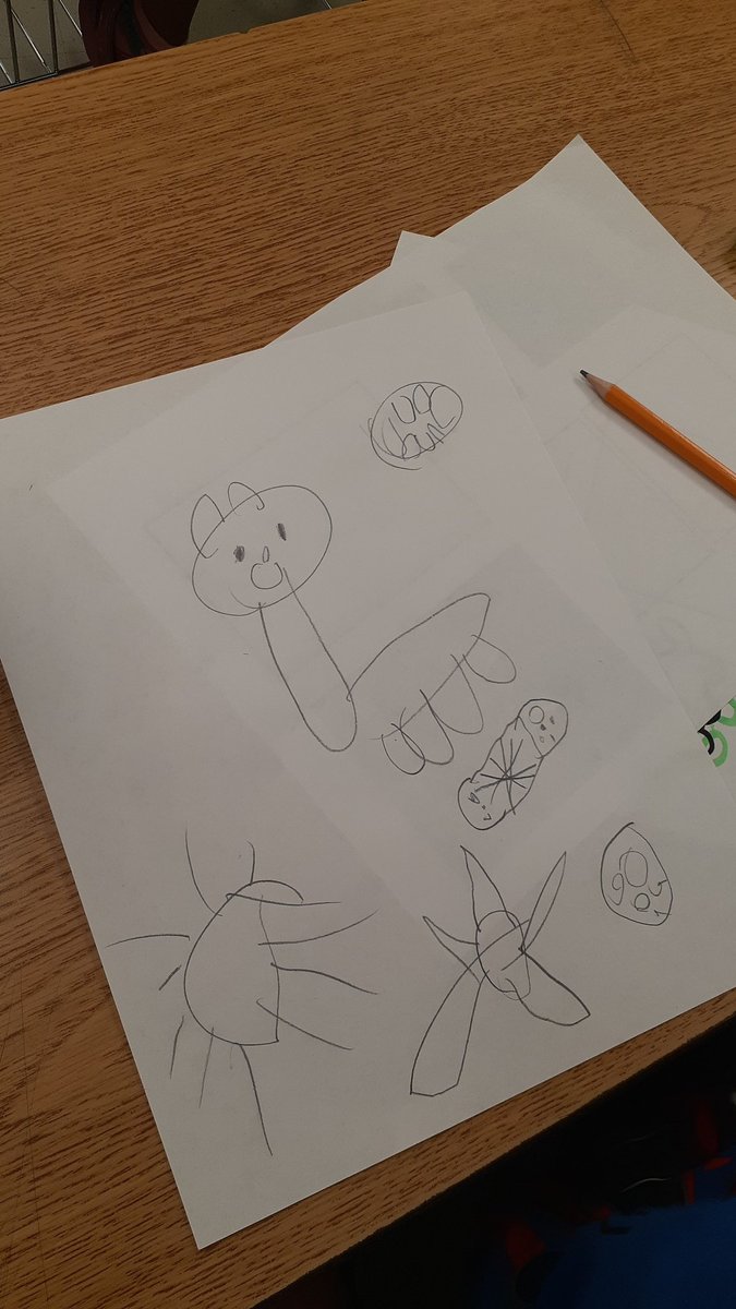 FabensWildcatsTSTEM tweet media