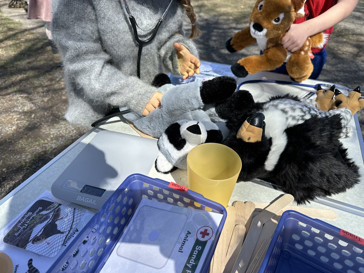 We are hiring a part-time Wildlife Educator! Apply by June 21, 2024. Full details here: …nes-wildlife-centre.mylearnworlds.com/job-postings 

#ontariowildlife #ygk #wildliferehab