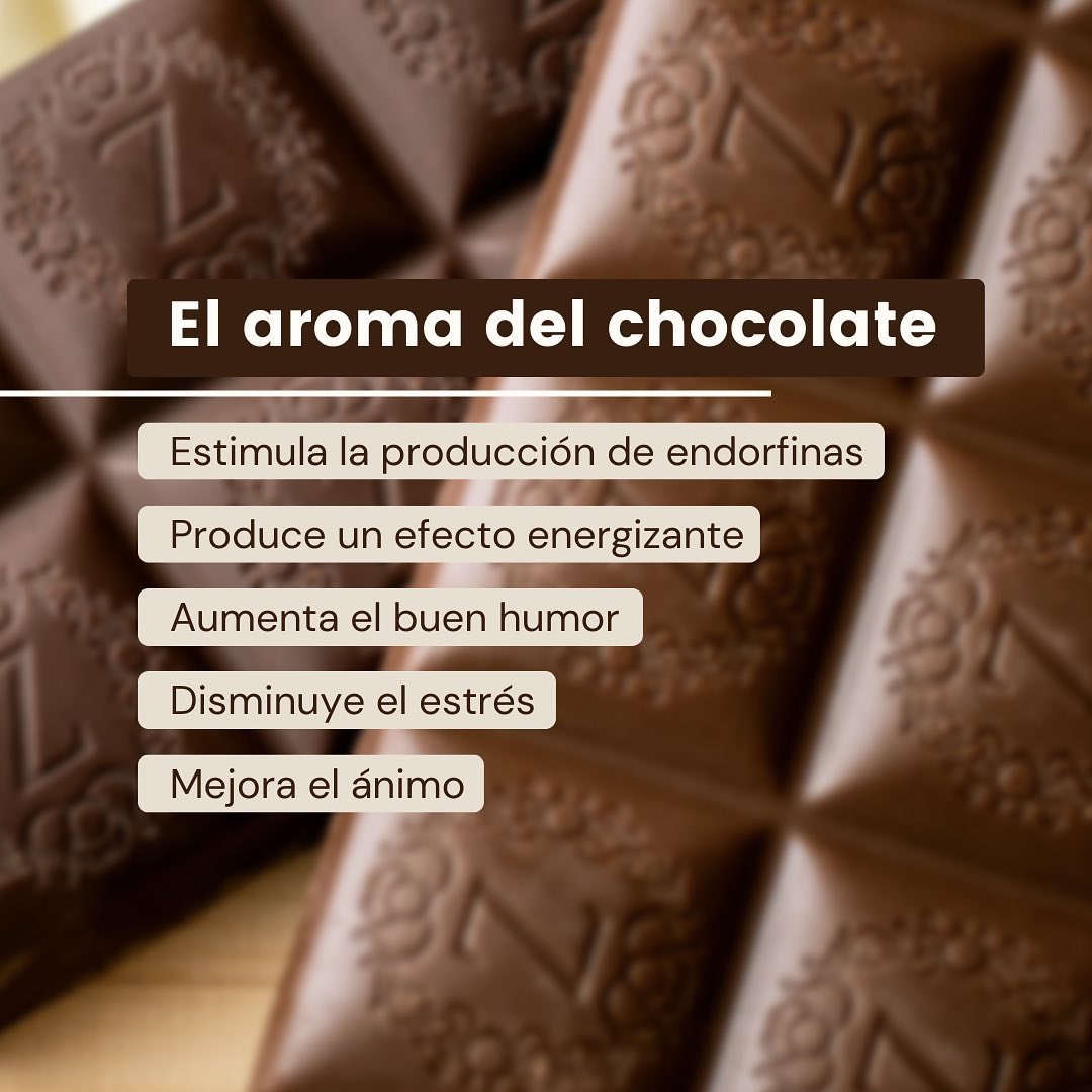 ¡La mejor forma de iniciar la semana!
Prueba los chocolates de Zisnella hoy mismo 🍫