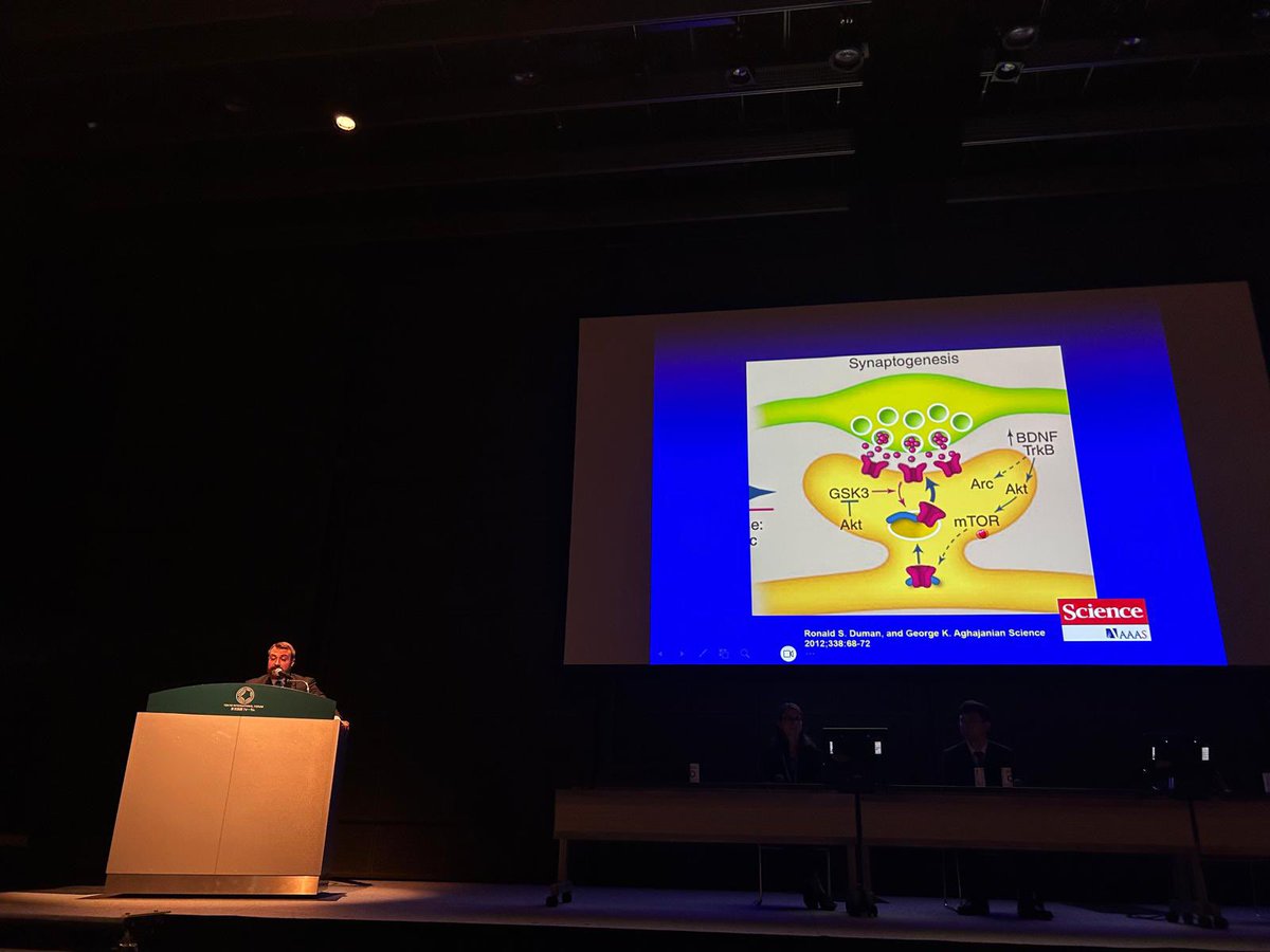 Glad to have spoken to the #cinp 2024 in #tokyo to share new data concerning the potential ability of psychedelics to treat mental diseases and addiction. See you next year in #Melbourne. 
#psychedelics #neuropsychopharmacology #pharmacology #mentalillness