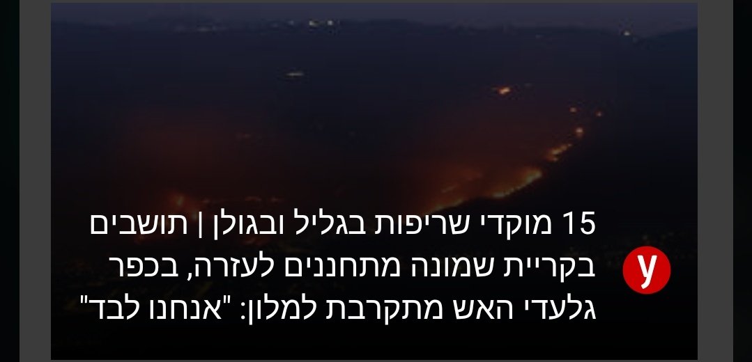 אוריה אלקיים tweet media