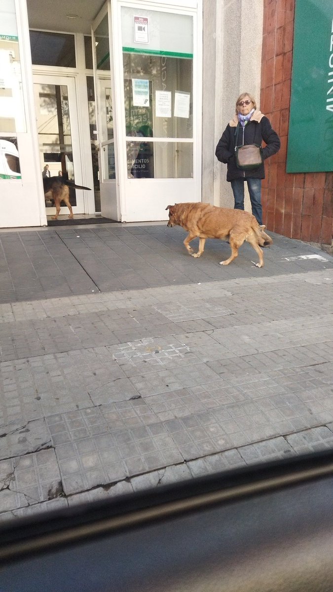 Camedur anexó veterinaria también!!!